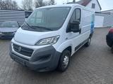 Fiat Ducato Kasten 30 115 L1H1 RS: 3000 mm - Fiat Ducato: 11