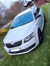 Skoda Octavia 1.6 TDI Active Combi Active - Skoda Octavia Active mit Diesel-Antrieb