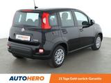 Fiat Panda 1.0 Mild-Hybrid*KLIMA*GARANTIE* - Fiat Panda Gebrauchtwagen in Bochum