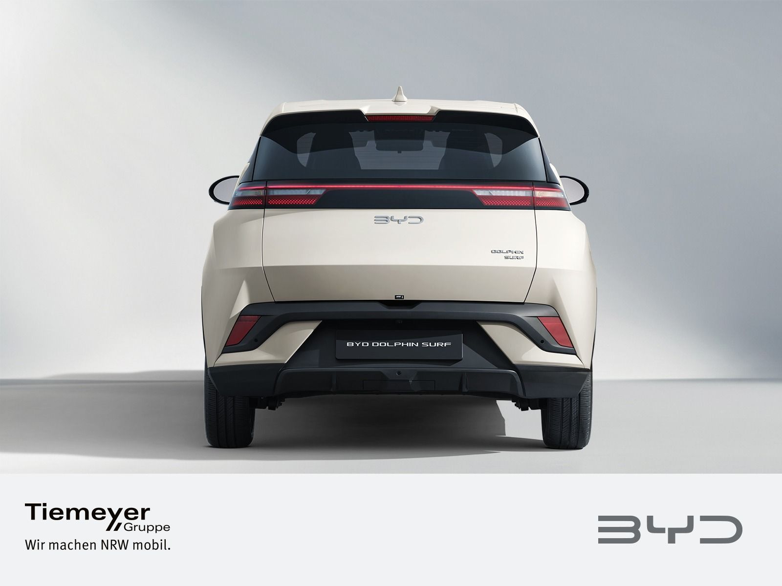 BYD DOLPHIN SURF