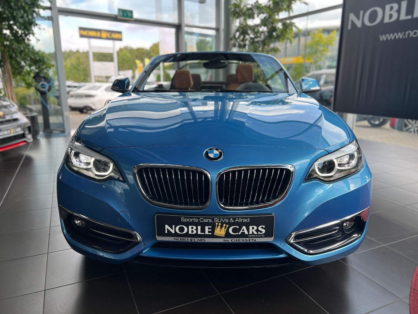 Fahrzeugabbildung BMW 220i Cabrio Luxury Line NAV LED PDC