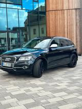 Audi SQ5 3.0 TDI Quattro -313 PS - Audi SQ5 in Bonn