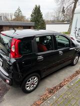 Fiat New Panda 1.2 8V EASY EASY - Fiat New Panda in Essen