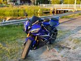 Yamaha RJ11 (R6) - YAMAHA R6 RJ11