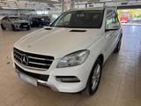 Mercedes-Benz ML 350  4M -Pano, AHK, GSD, MB scheckheft  - Mercedes-Benz ML 350 Gebrauchtwagen