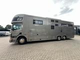Scania P410 EQUIX  5 Pferde Dop. Pop-Out, Pop-Up - Tier-/Pferdetransport 4 pferde