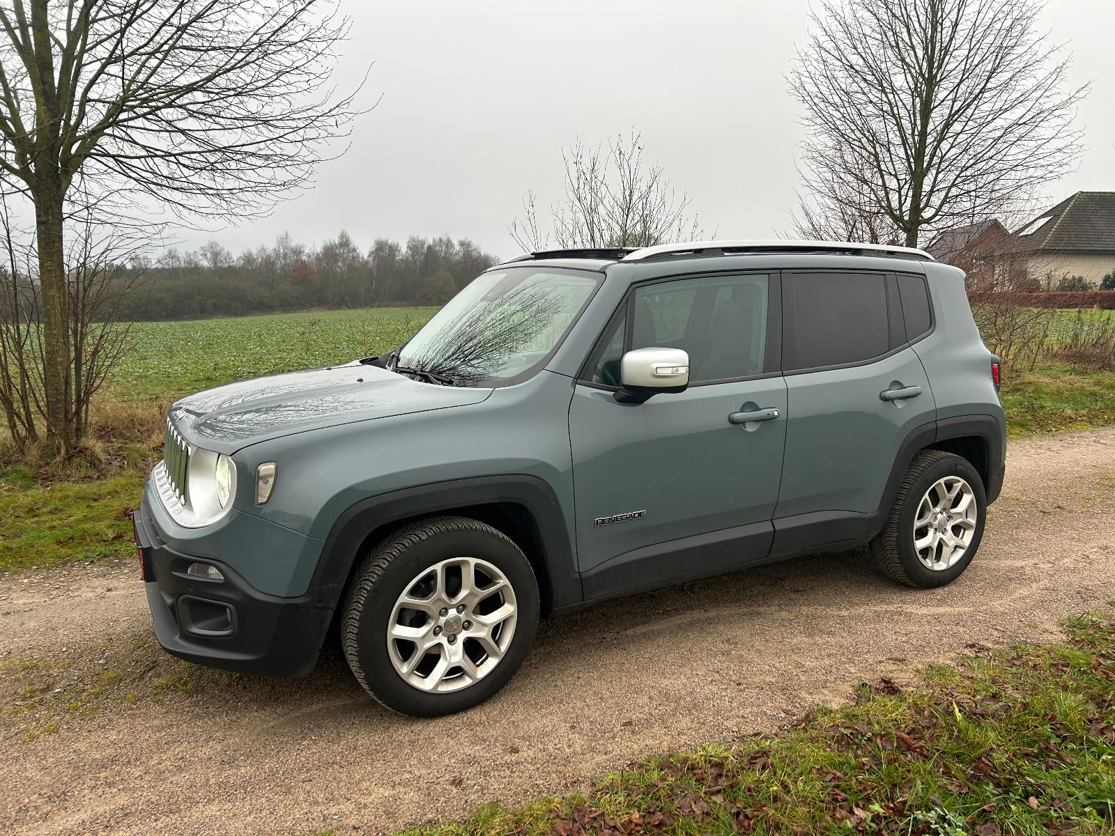 Jeep Renegade Limited FWD Autom.AHK Pano
