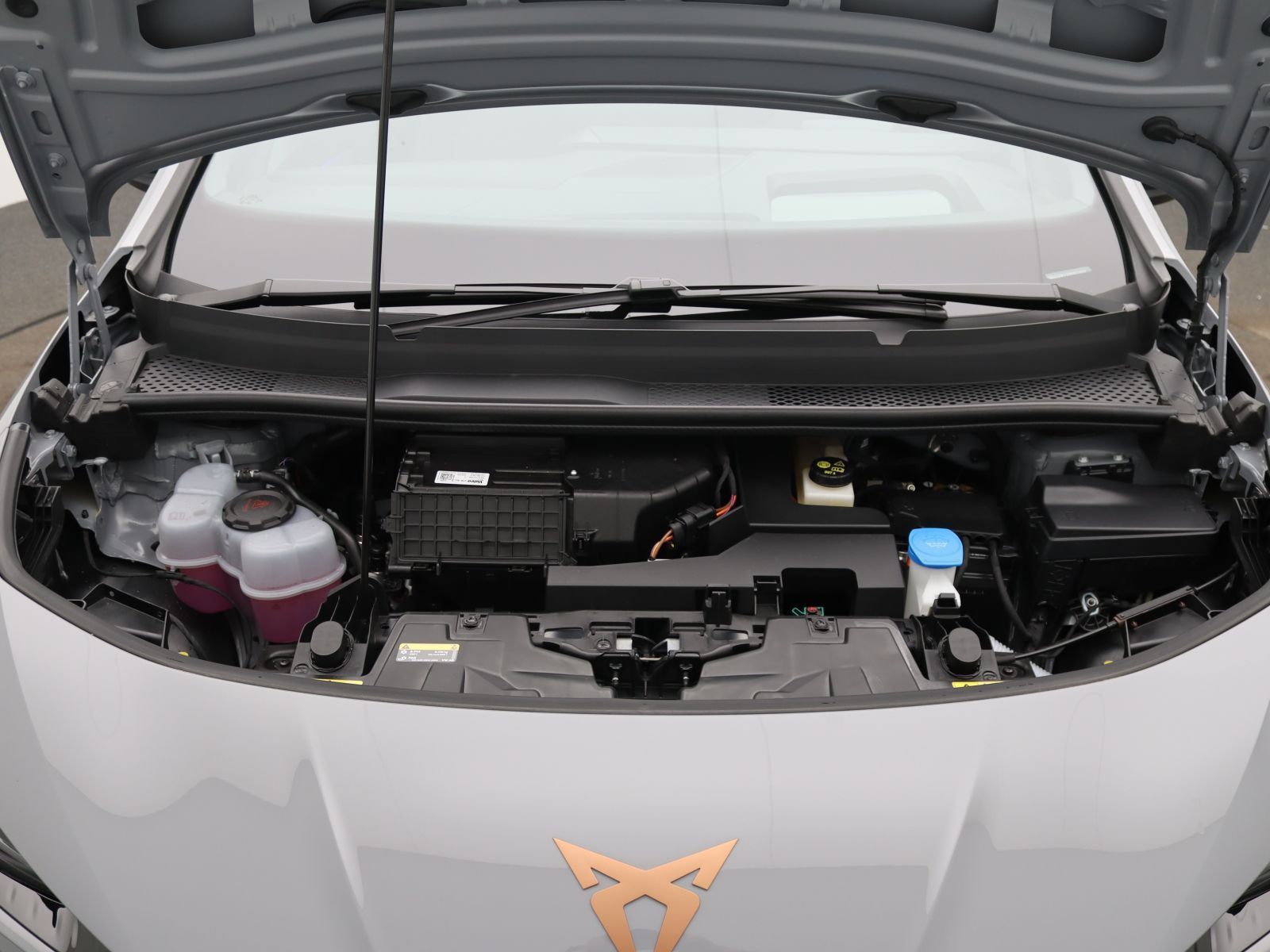 Cupra Born - Bild 16