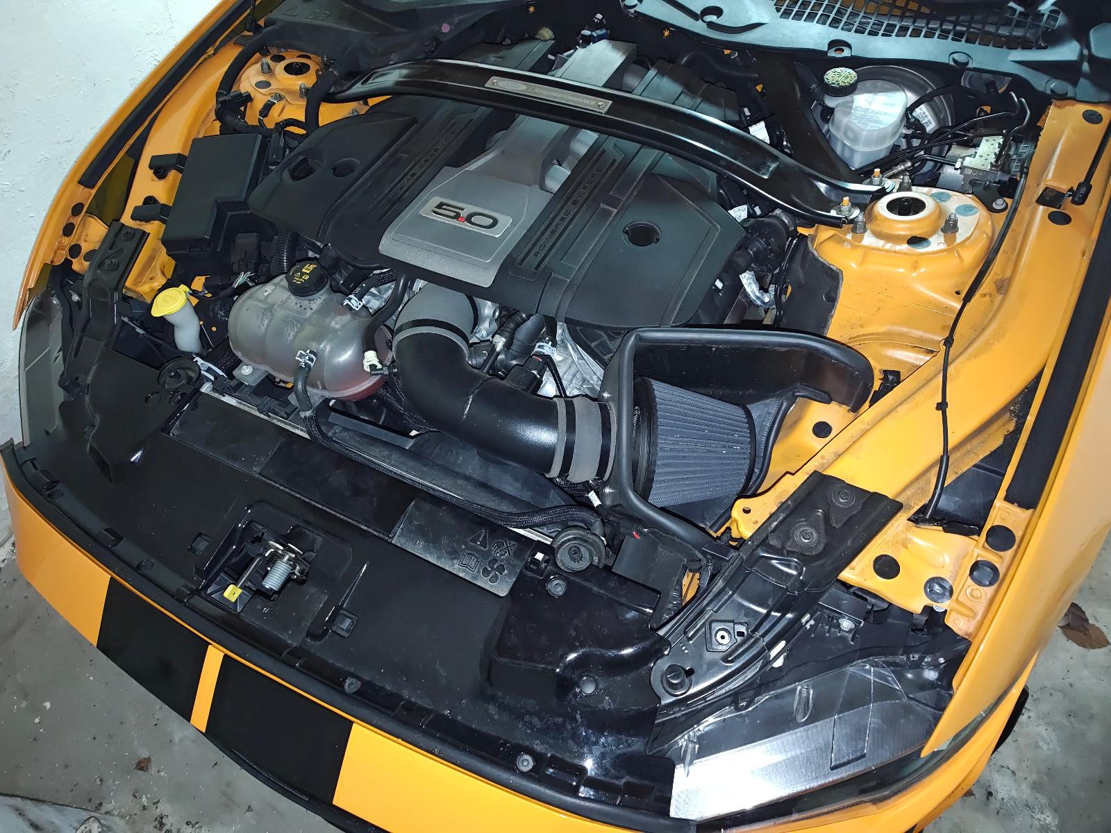 Ford Mustang FL V8 GT500 DD-Customs 20zoll all legal 