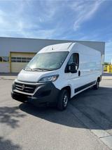 Fiat Ducato L4 H2 1 Hand - Fiat Ducato in Mannheim