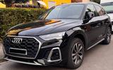 Audi Q5 Sline 40 TDI quattr,STHZG,Kamera,LED etc
