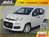 Fiat Panda Pandina POP Hybrid #KLIMA #PARKSENSOREN - Fiat Panda POP mit Hybrid-Antrieb (Benzin/Elektro)