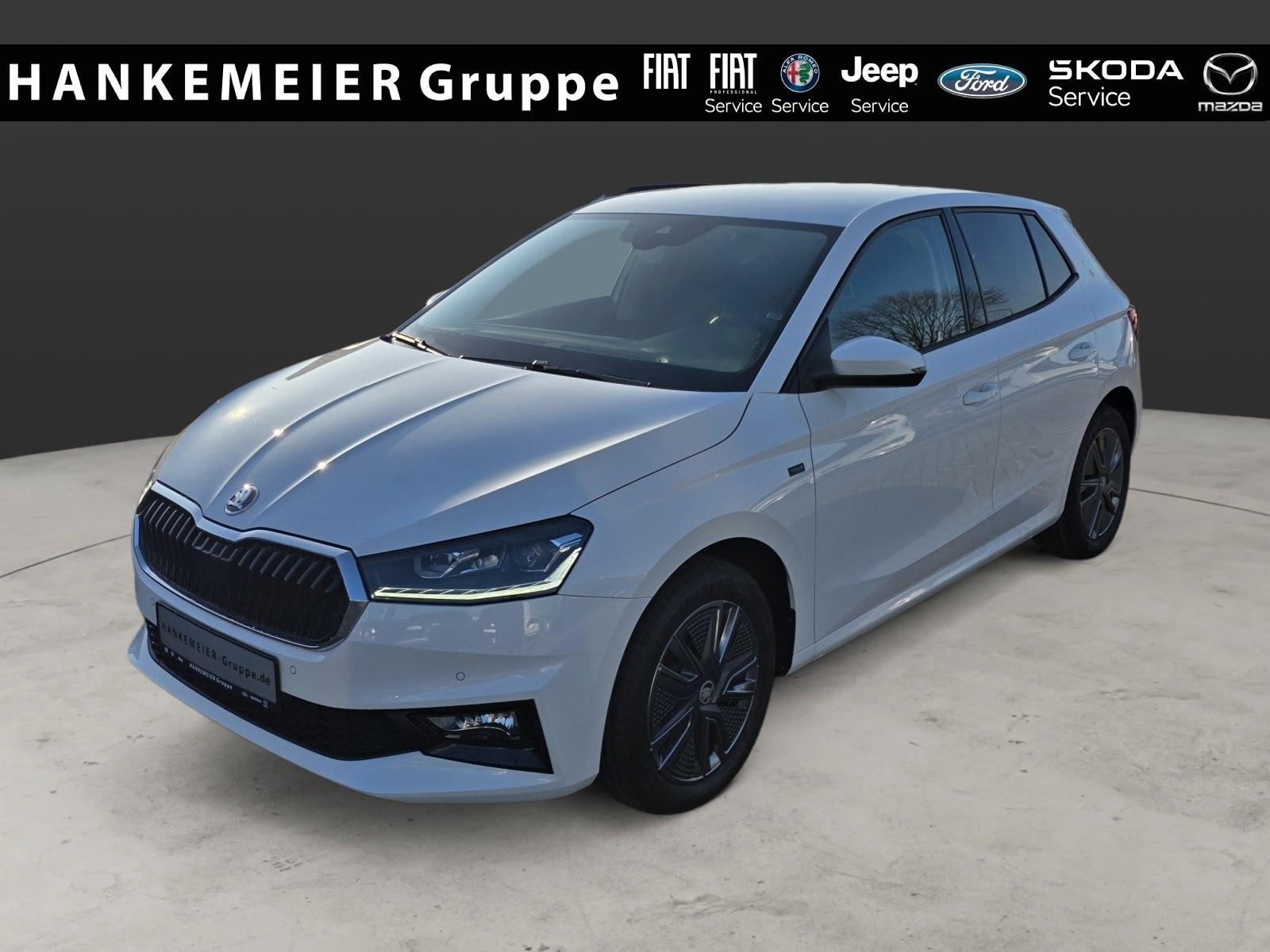 Skoda Fabia Tour LED SHZ Kamera SmartLink Kessy