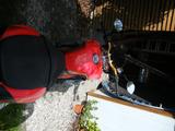 Aprilia RSV 1000 Tuono - APRILIA 1000 R