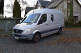Mercedes-Benz 213 CDI - Wohnmobile bis 17.500 Euro