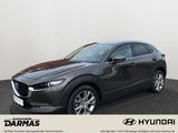 Mazda CX-30 2,0 SKYACTIV-G Automatik "Selection"  - Mazda CX-30 Benzin Gebrauchtwagen