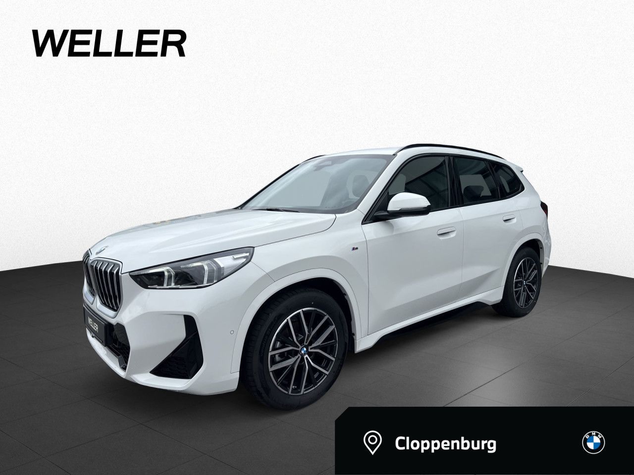 BMW X1 xDrive20d M Sport AHK,H/K,360°,AdpLED,DA+