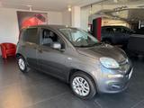 Fiat Panda 1.2 8V More - Fiat Panda in Freiburg