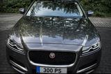Jaguar XF 30d 300PS Portfolio Automatik Scheckheft Head - Jaguar: X300