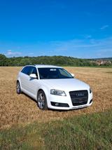 Audi A3 1.4 TFSI Ambition Sportback Ambition Xenon - Audi A3 aus 2009: Sportback Ambition