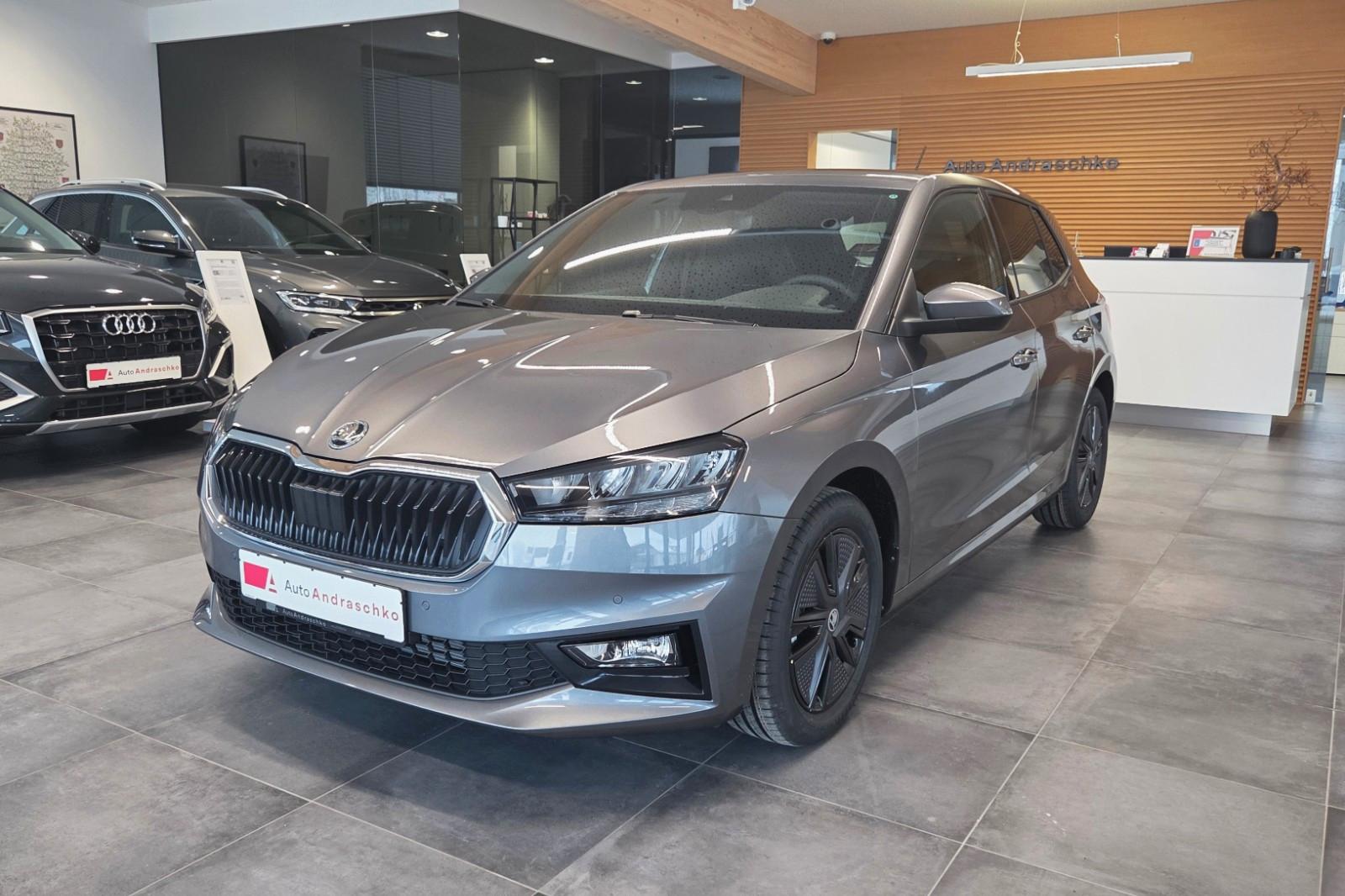 Skoda Fabia 1.0 TSI DSG Dynamic 16" Kamera 5J.Garantie