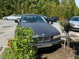 BMW e39 525d noch alles dran - BMW 5er Reihe: Alle