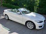 BMW 220i Cabrio Luxury Line + Voll-Ausstg + Scheckh. - BMW 220 in Köln