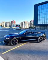 Ford Mustang 2.3 EcoBoost Shelby Optik  - Ford: Roadster