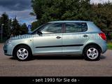 Skoda Fabia Cool Edition*AHZV*ALLWETTER*KLIMA*AUX* - Skoda Fabia: Grün