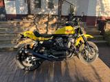 Harley-Davidson XR 1200 - Angebote
