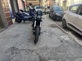 Benelli Leoncino 500 Scambler - BENELLI LEONCINO 500