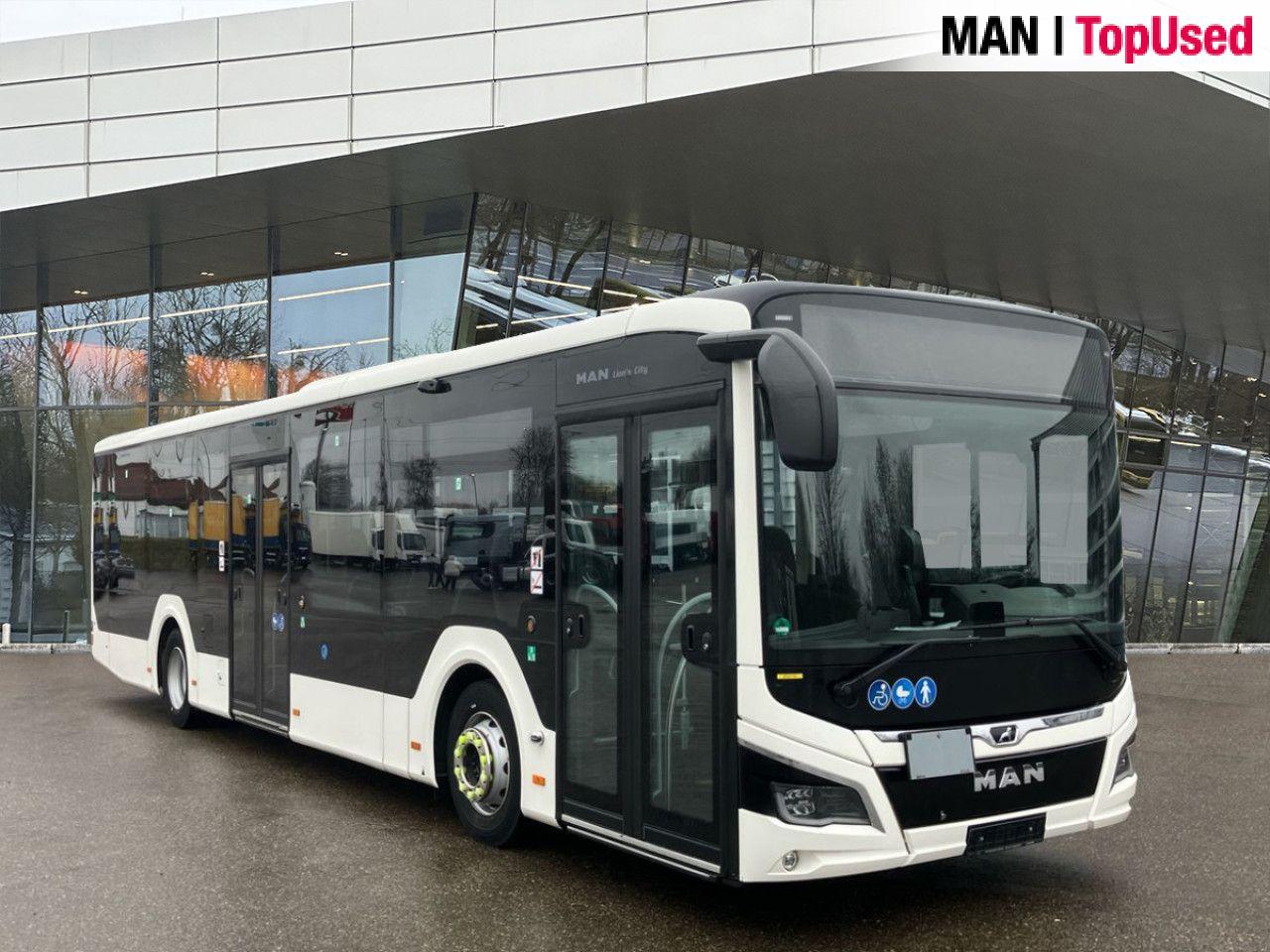 MAN LION'S CITY / 12C