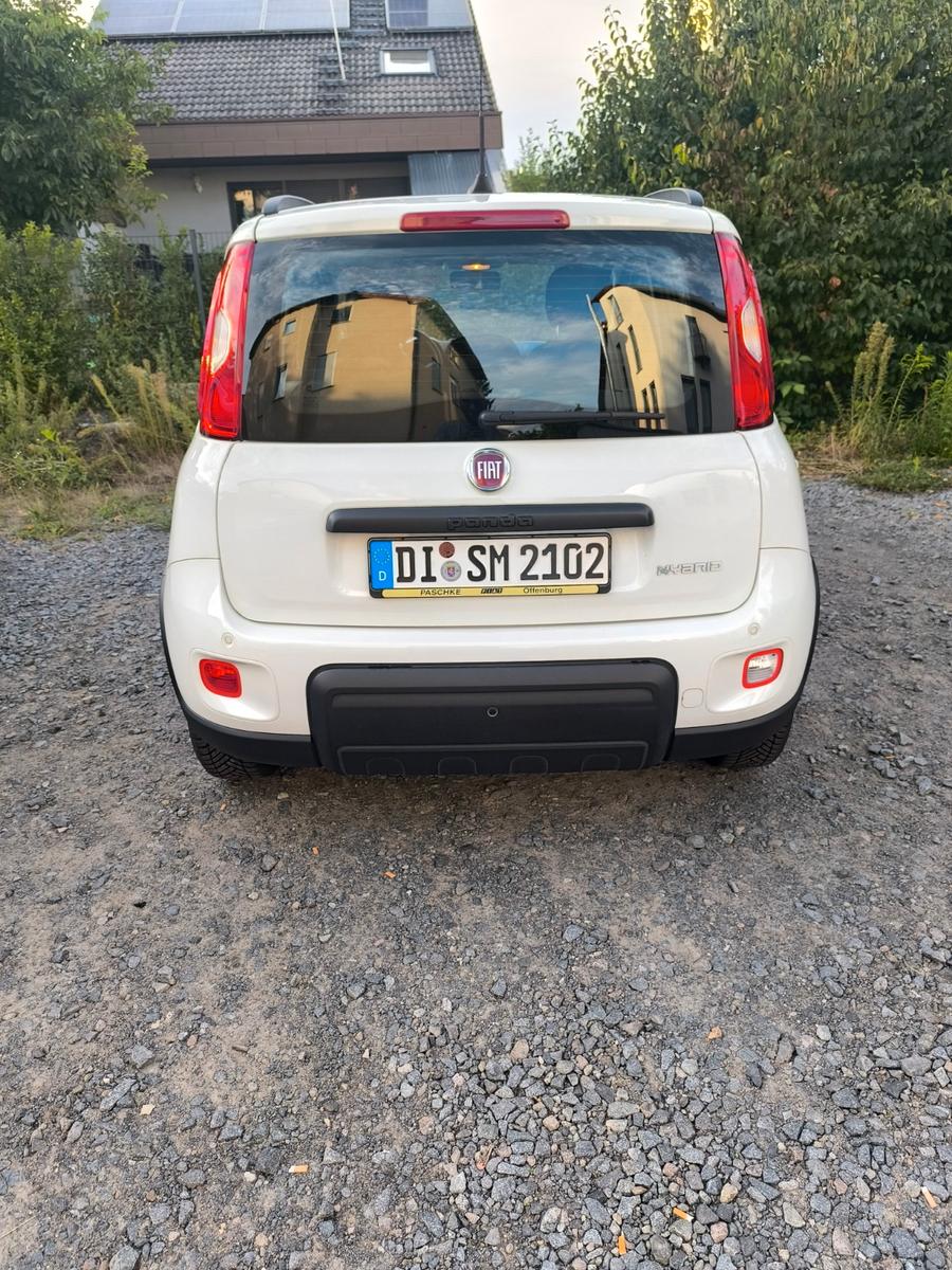 Fiat Panda 1.0 GSE Hybrid CITY PLUS CITY PLUS