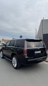 Cadillac Escalade 6.2 V8 Platinum Autom. Platinum - Cadillac Escalade Gebrauchtwagen