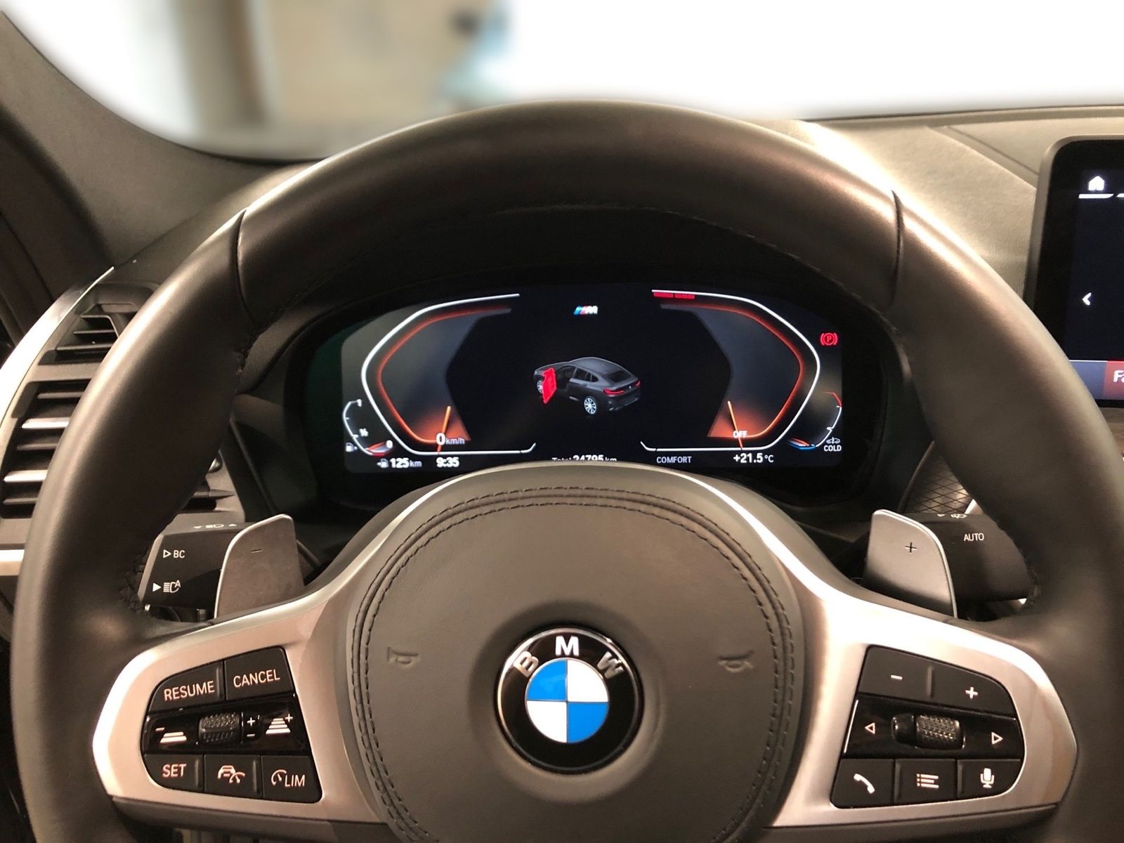 BMW X4 - Bild 8