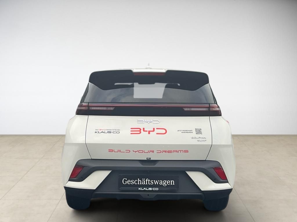 BYD DOLPHIN SURF
