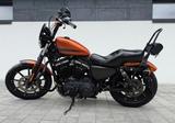 Harley-Davidson Sportster Iron 883 Cobra 2020r - Angebote