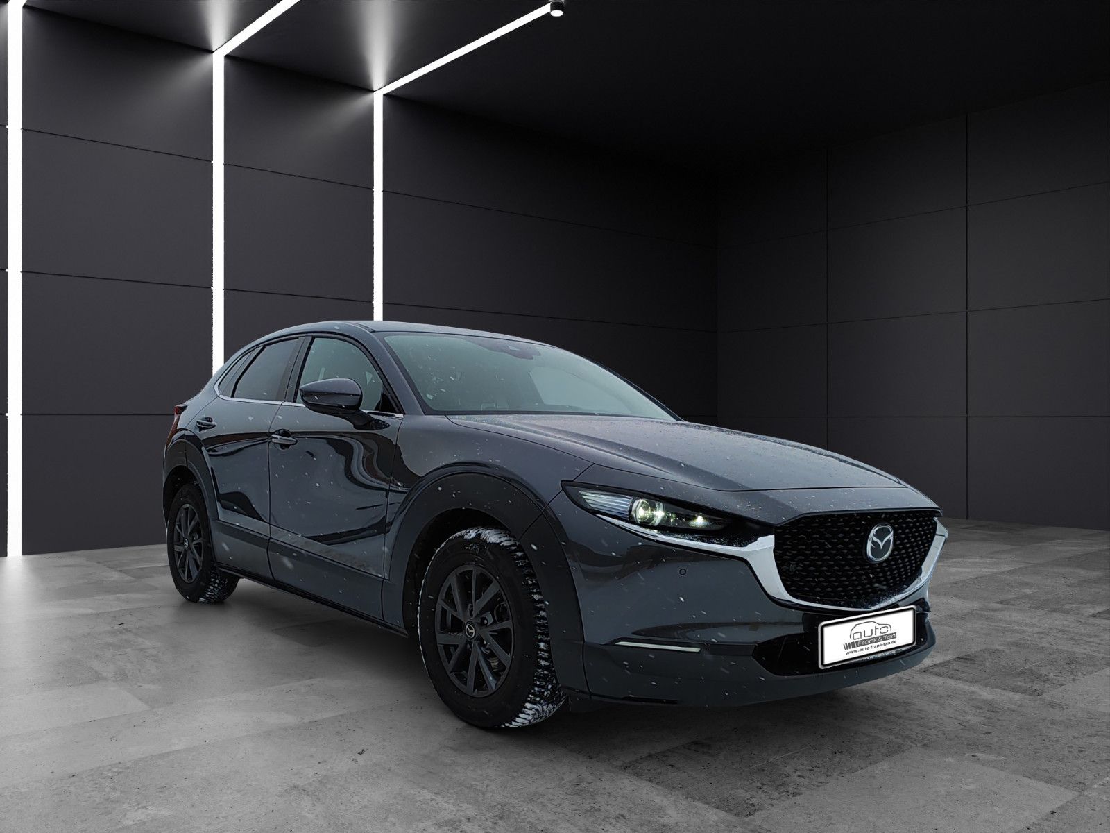 Fahrzeugabbildung Mazda CX-30Matrix*Bose*360°Cam*CarPlay*Head-Up*