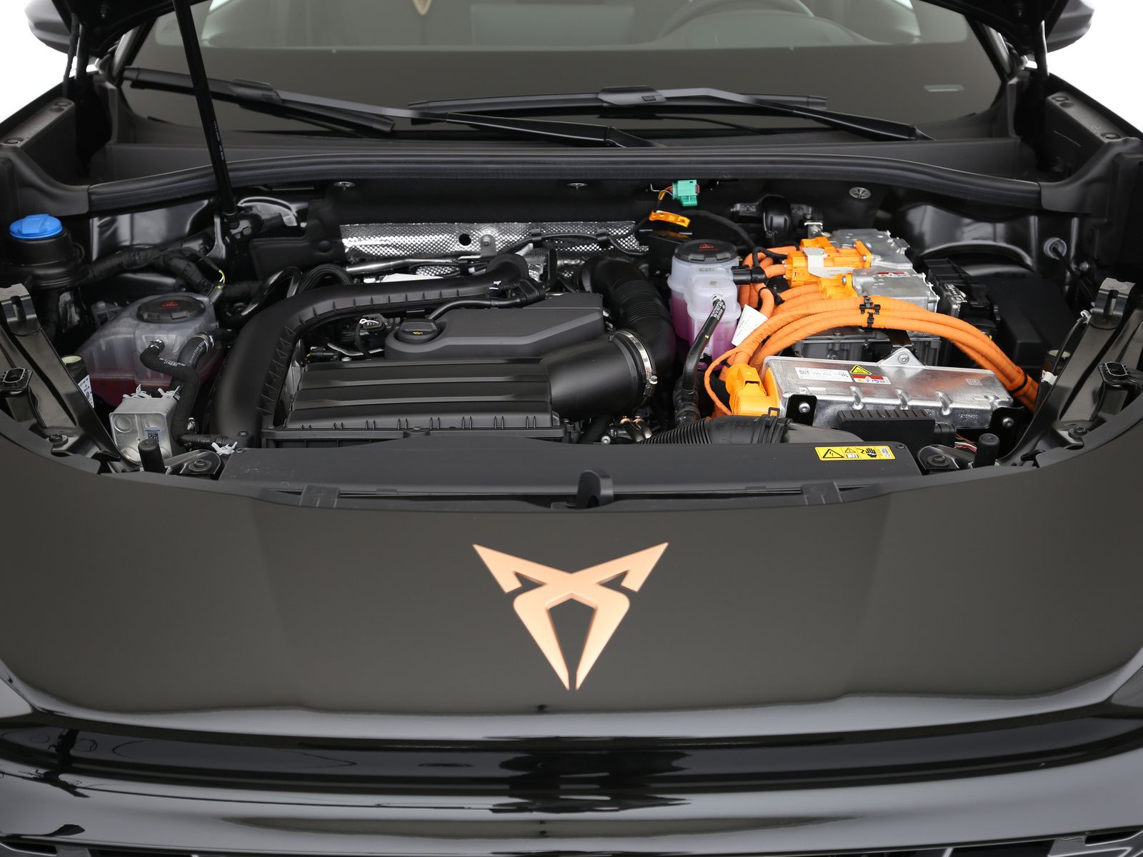 Cupra Terramar - Bild 24