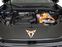 Cupra Terramar - Vorschau Bild 24