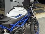 Suzuki SV650 ABS - TÜV NEU - Sportauspuff - SUZUKI SV650S