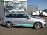 Skoda Octavia Combi Style - Gebrauchtwagen
