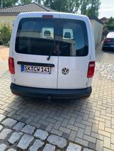 Volkswagen Caddy Maxi - Volkswagen Caddy Maxi in Halle