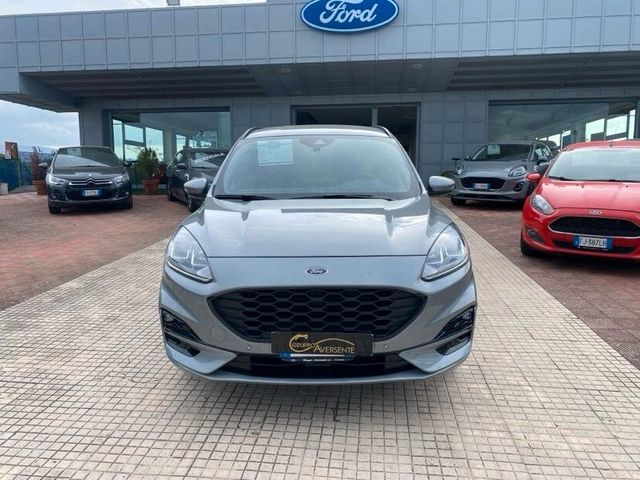 Другие Ford Kuga 2.0 EcoBlue 120 CV aut. 2WD ST-Line
