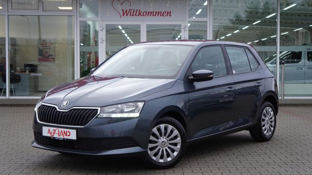 Skoda Fabia 1.0 MPI Active DAB Klima Bluetooth 1.Hand