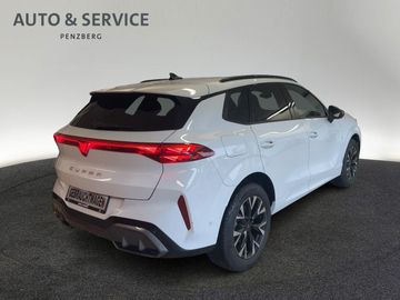 Cupra Terramar - 3