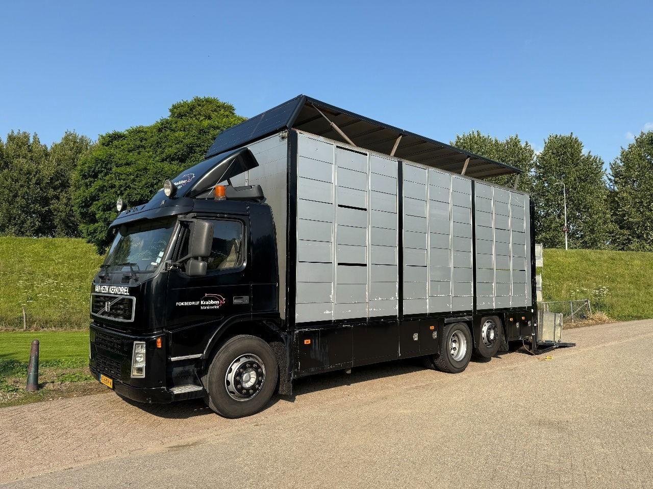 Volvo VOLVO FMFH 6x2 Viehverpflegungsboxen, 3-lagig