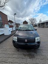 Fiat Panda - Fiat Panda Gebrauchtwagen in Mönchengladbach