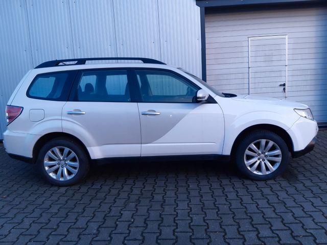 Subaru Forester Comfort 2,0 Pano*AHK*NAV*CAM*Standhz*SH