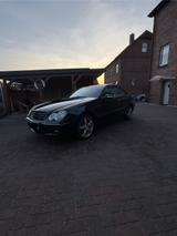 Mercedes-Benz CLK 240 w209 Avantgarde Vollleder V6 | TÜV... - Mercedes-Benz CLK-Klasse A209